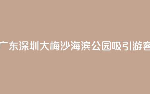 广东深圳：大梅沙海滨公园吸引游客 第1张