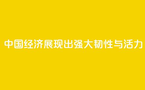 “中国经济展现出强大韧性与活力	” 第1张