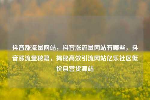 抖音涨流量网站，抖音涨流量网站有哪些，抖音涨流量秘籍	，揭秘高效引流网站亿乐社区低价自营货源站  第1张